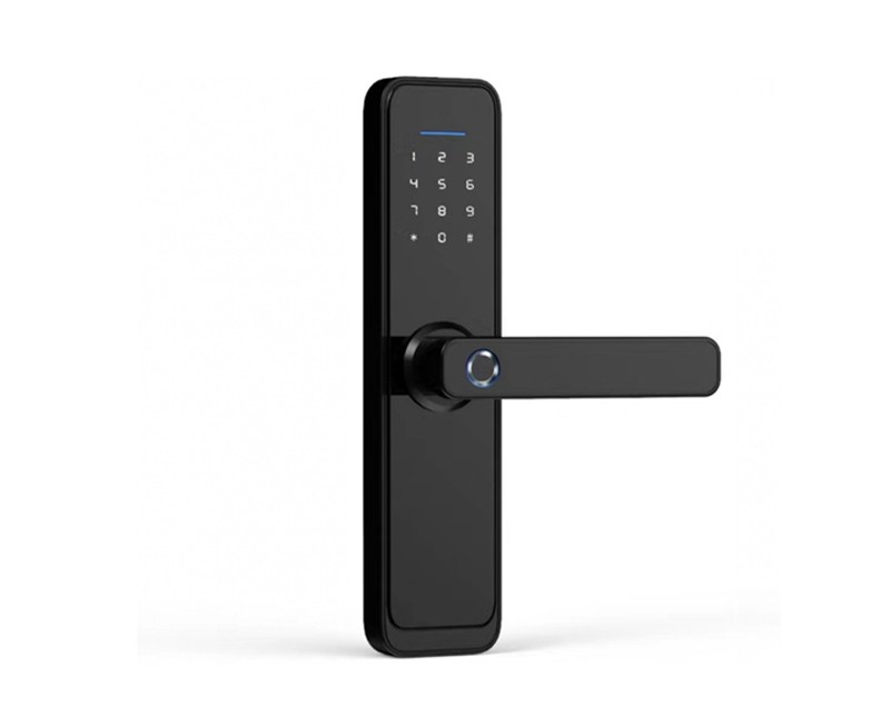 Room Door Lock: ZDSL-101WF