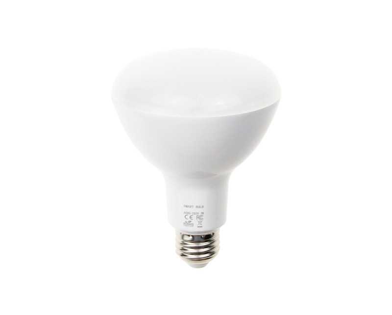 WIFI Smart LED Light Bulb: ZDWL-102