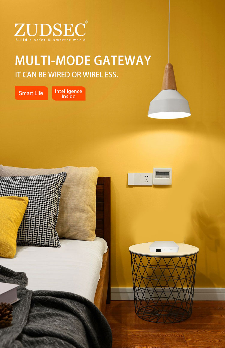 Zigbee Smart Wired Gateway -RJ45 Connection(图1)